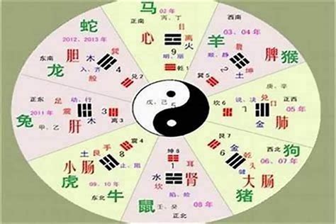 俊的五行|俊字的五行属性